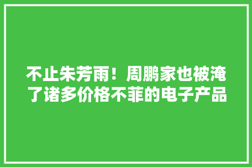不止朱芳雨！周鹏家也被淹了诸多价格不菲的电子产品被水泡坏 不止朱芳雨！周鹏家也被淹了诸多价格不菲的电子产品被水泡坏 智能家居