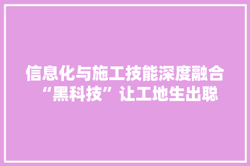 信息化与施工技能深度融合 “黑科技”让工地生出聪慧