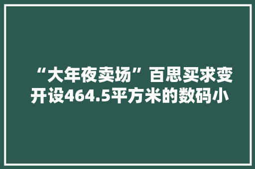 “大年夜卖场”百思买求变 开设464.5平方米的数码小市廛