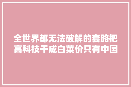 全世界都无法破解的套路把高科技干成白菜价只有中国做获得