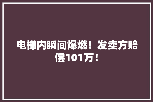 电梯内瞬间爆燃！发卖方赔偿101万！