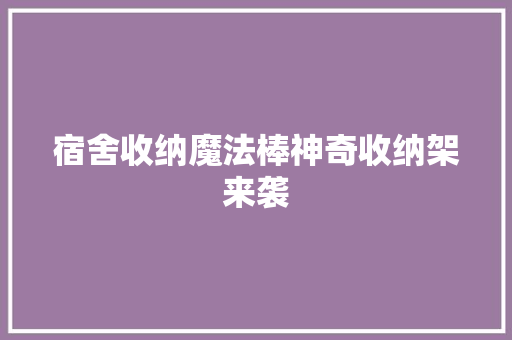 宿舍收纳魔法棒神奇收纳架来袭