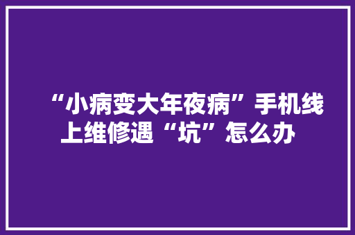 “小病变大年夜病”手机线上维修遇“坑”怎么办