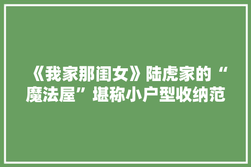 《我家那闺女》陆虎家的“魔法屋”堪称小户型收纳范本