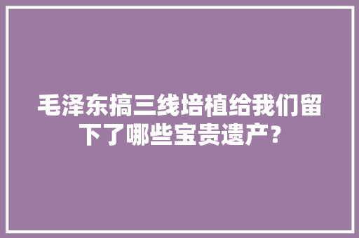 毛泽东搞三线培植给我们留下了哪些宝贵遗产？