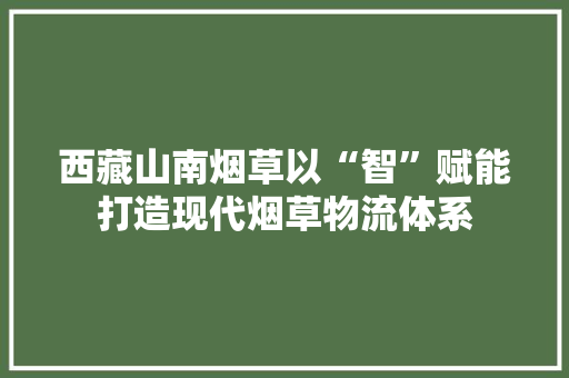 西藏山南烟草以“智”赋能打造现代烟草物流体系