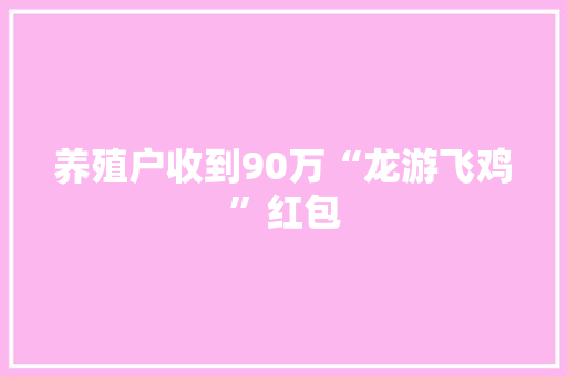 养殖户收到90万“龙游飞鸡”红包