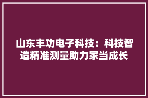 山东丰功电子科技：科技智造精准测量助力家当成长
