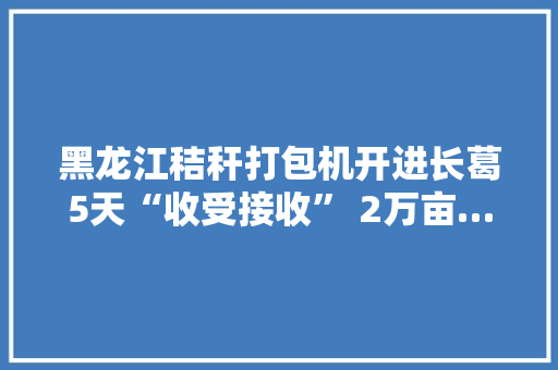 黑龙江秸秆打包机开进长葛5天“收受接收” 2万亩……