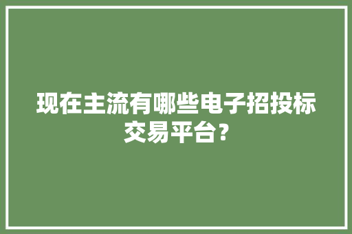 现在主流有哪些电子招投标交易平台？