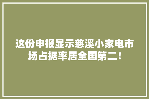 这份申报显示慈溪小家电市场占据率居全国第二！