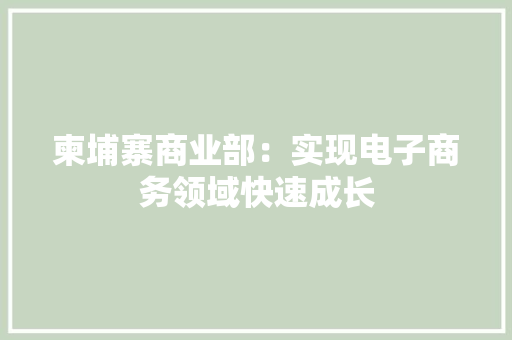 柬埔寨商业部：实现电子商务领域快速成长