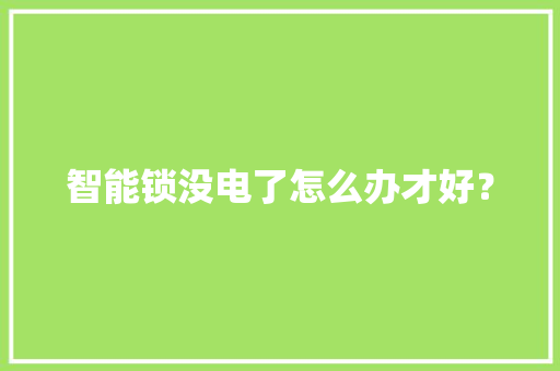 智能锁没电了怎么办才好？