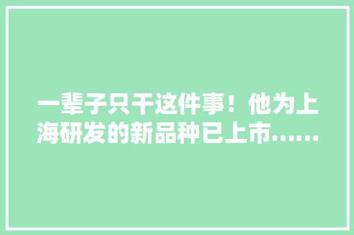 一辈子只干这件事！他为上海研发的新品种已上市……