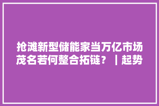 抢滩新型储能家当万亿市场茂名若何整合拓链？｜起势·链动未来①
