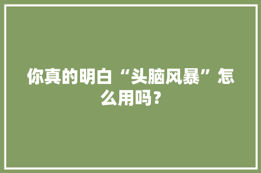 你真的明白“头脑风暴”怎么用吗？