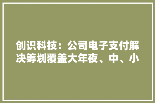 创识科技：公司电子支付解决筹划覆盖大年夜、中、小、微商户及“线上+线下”主要支付场景
