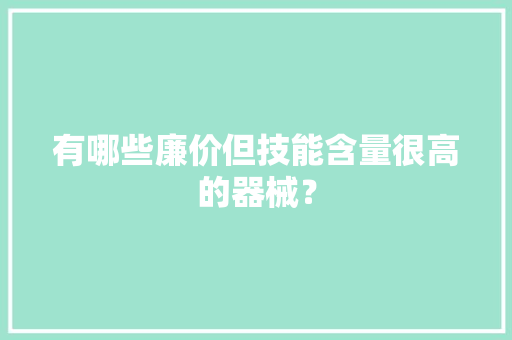 有哪些廉价但技能含量很高的器械？