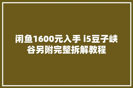 闲鱼1600元入手 i5豆子峡谷另附完整拆解教程