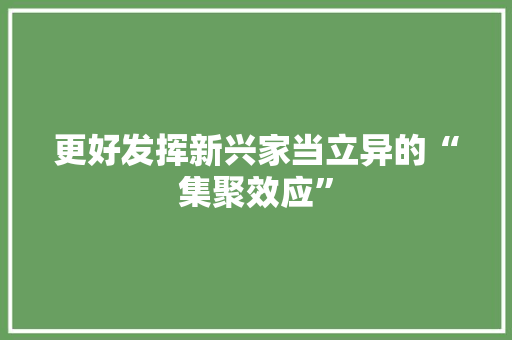 更好发挥新兴家当立异的“集聚效应”