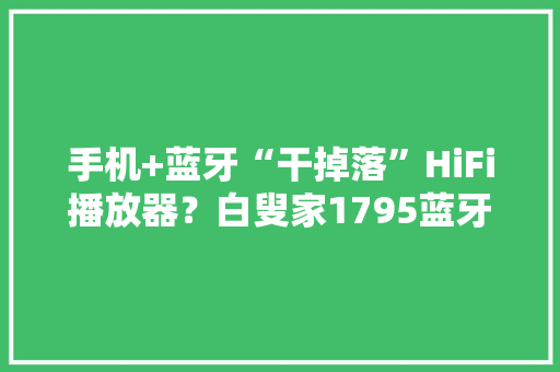 手机+蓝牙“干掉落”HiFi播放器？白叟家1795蓝牙解码耳放评测