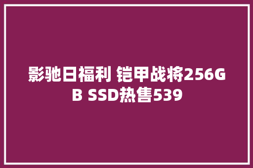 影驰日福利 铠甲战将256GB SSD热售539