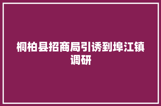 桐柏县招商局引诱到埠江镇调研 桐柏县招商局引诱到埠江镇调研 人工智能