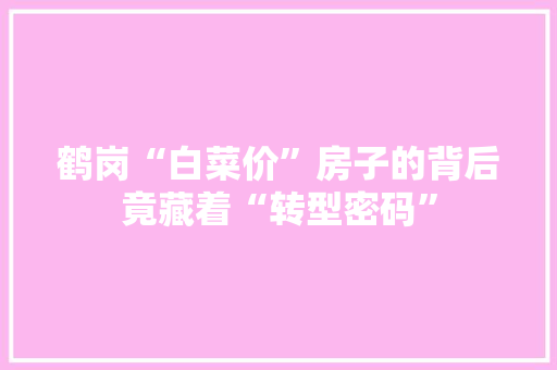 鹤岗“白菜价”房子的背后竟藏着“转型密码”