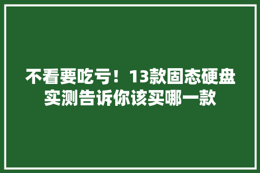 不看要吃亏！13款固态硬盘实测告诉你该买哪一款