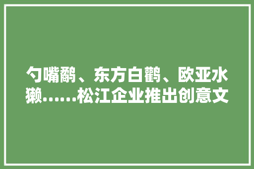 勺嘴鹬、东方白鹳、欧亚水獭……松江企业推出创意文具值得关注→