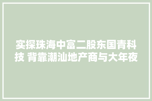 实探珠海中富二股东国青科技 背靠潮汕地产商与大年夜股东较劲
