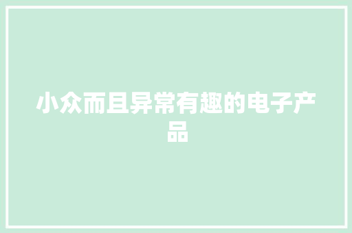 小众而且异常有趣的电子产品