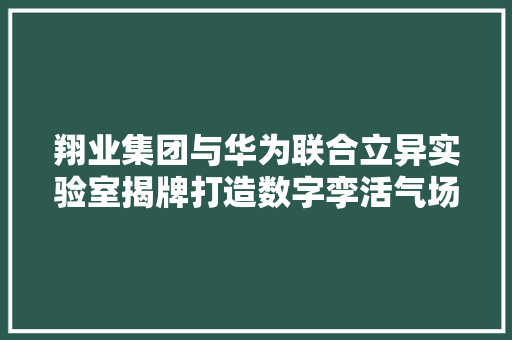 翔业集团与华为联合立异实验室揭牌打造数字孪活气场应用标杆