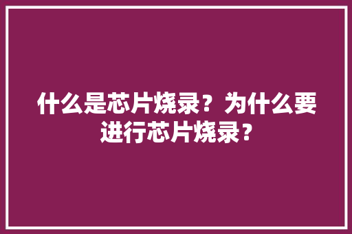 什么是芯片烧录？为什么要进行芯片烧录？