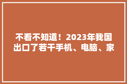 不看不知道！2023年我国出口了若干手机、电脑、家电？单价若干？