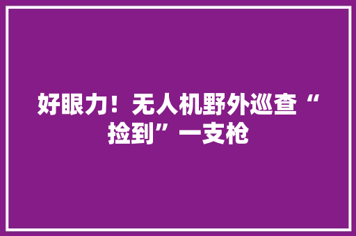 好眼力！无人机野外巡查“捡到”一支枪