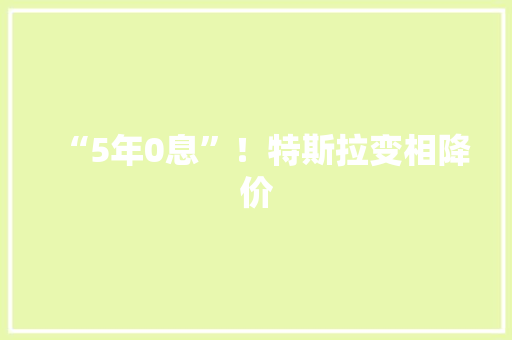 “5年0息”！特斯拉变相降价