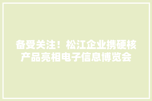 备受关注！松江企业携硬核产品亮相电子信息博览会