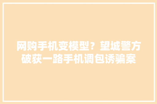 网购手机变模型？望城警方破获一路手机调包诱骗案