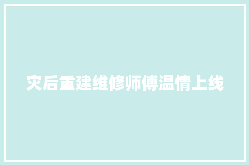 灾后重建维修师傅温情上线