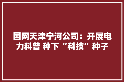 国网天津宁河公司：开展电力科普 种下“科技”种子
