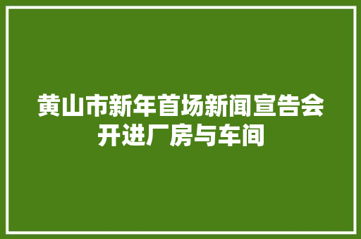 黄山市新年首场新闻宣告会开进厂房与车间