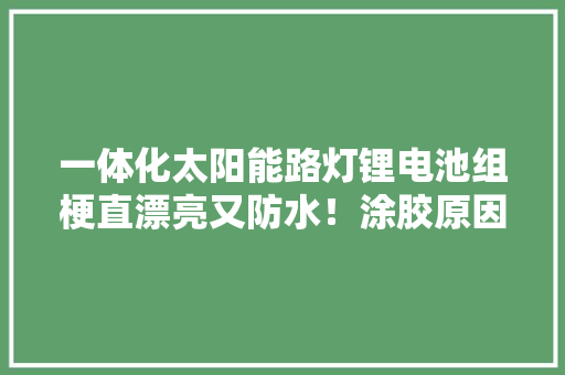 一体化太阳能路灯锂电池组梗直漂亮又防水！涂胶原因也知道了！