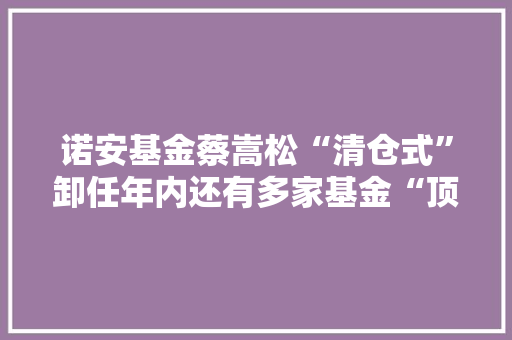 诺安基金蔡嵩松“清仓式”卸任年内还有多家基金“顶流”瘦身