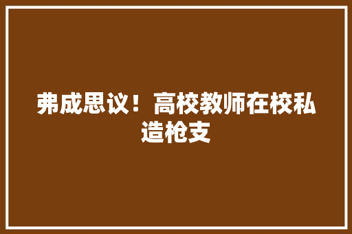 弗成思议！高校教师在校私造枪支