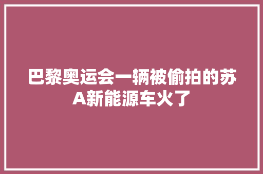 巴黎奥运会一辆被偷拍的苏A新能源车火了