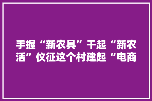 手握“新农具”干起“新农活”仪征这个村建起“电商城” 手握“新农具”干起“新农活”仪征这个村建起“电商城” 智能家居