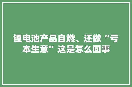 锂电池产品自燃、还做“亏本生意”这是怎么回事
