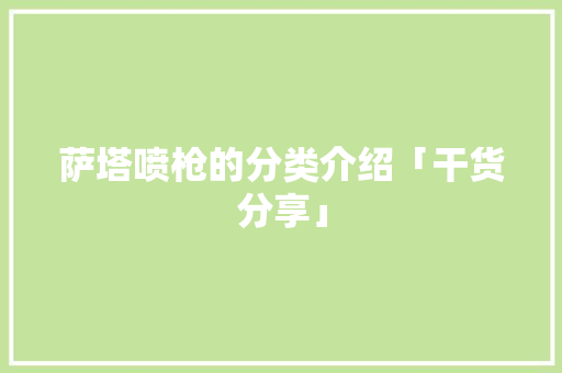 萨塔喷枪的分类介绍「干货分享」 萨塔喷枪的分类介绍「干货分享」 人工智能