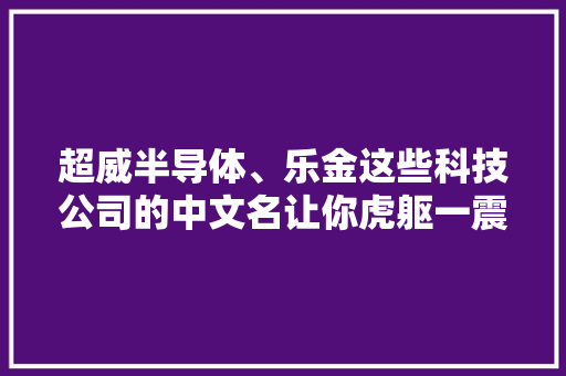 超威半导体、乐金这些科技公司的中文名让你虎躯一震！